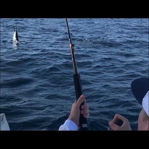 Meet your Posher, Evan